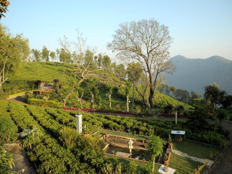 Teanest By Nature Resorts And Stays 乔奥诺奥尔 外观 照片