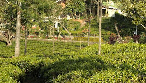 Teanest By Nature Resorts And Stays 乔奥诺奥尔 外观 照片