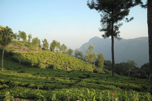 Teanest By Nature Resorts And Stays 乔奥诺奥尔 外观 照片